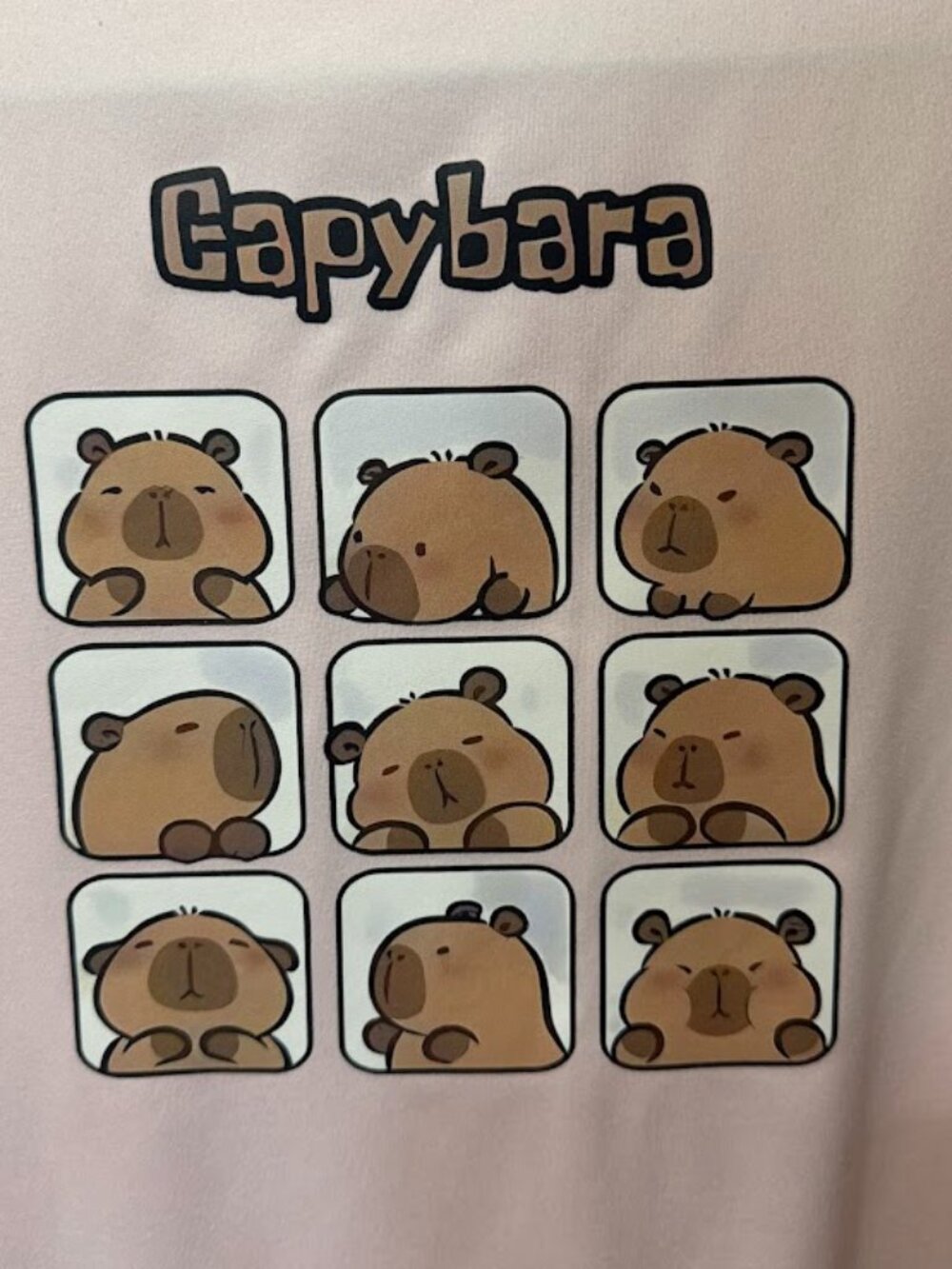 Girls Capybara Graphic T Shirt Pink Cute Kawaii Tee Size 12Y Soft Stretch Top - Picture 6 of 6
